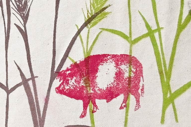 Schwein